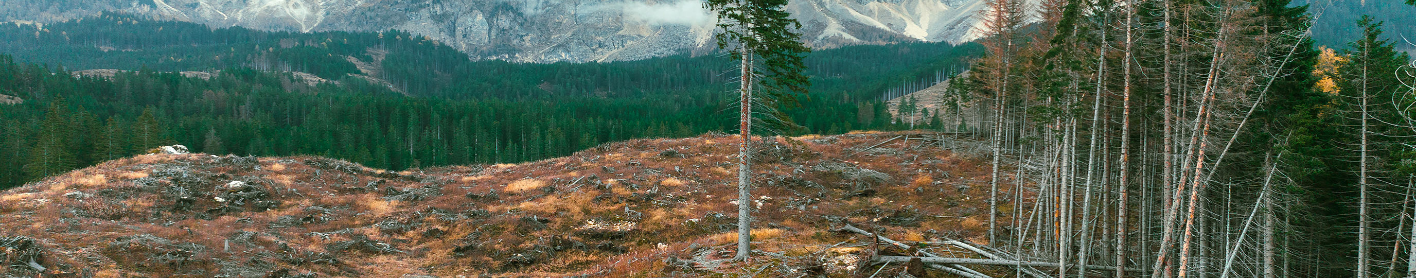 Toolkit ambulante Arztpraxen